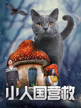 国产精品免费视频播放器